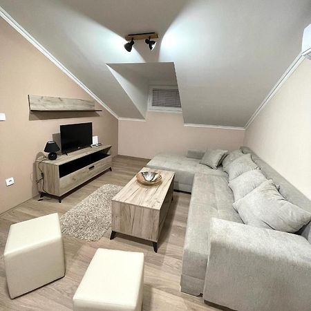 Vivko Apartments Veliko Gradište Εξωτερικό φωτογραφία